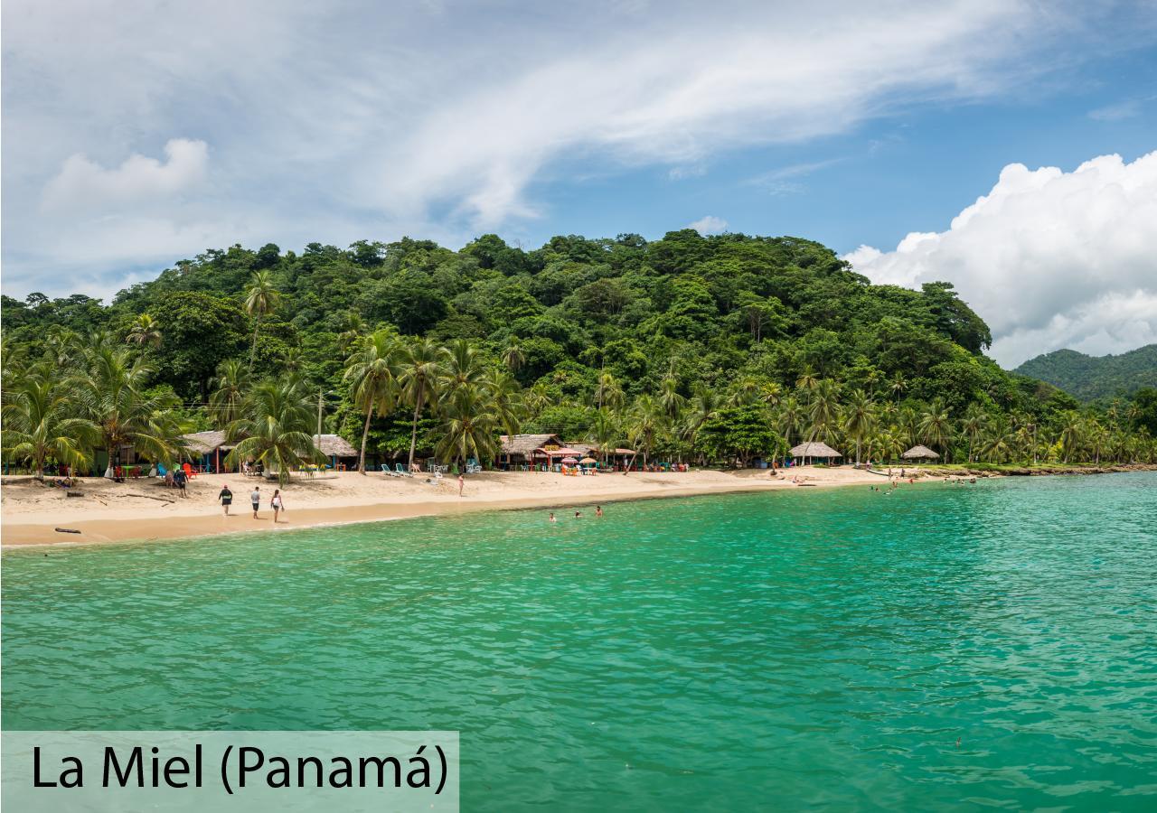 Tacarcuna Lodge กาปูร์กานา ภายนอก รูปภาพ